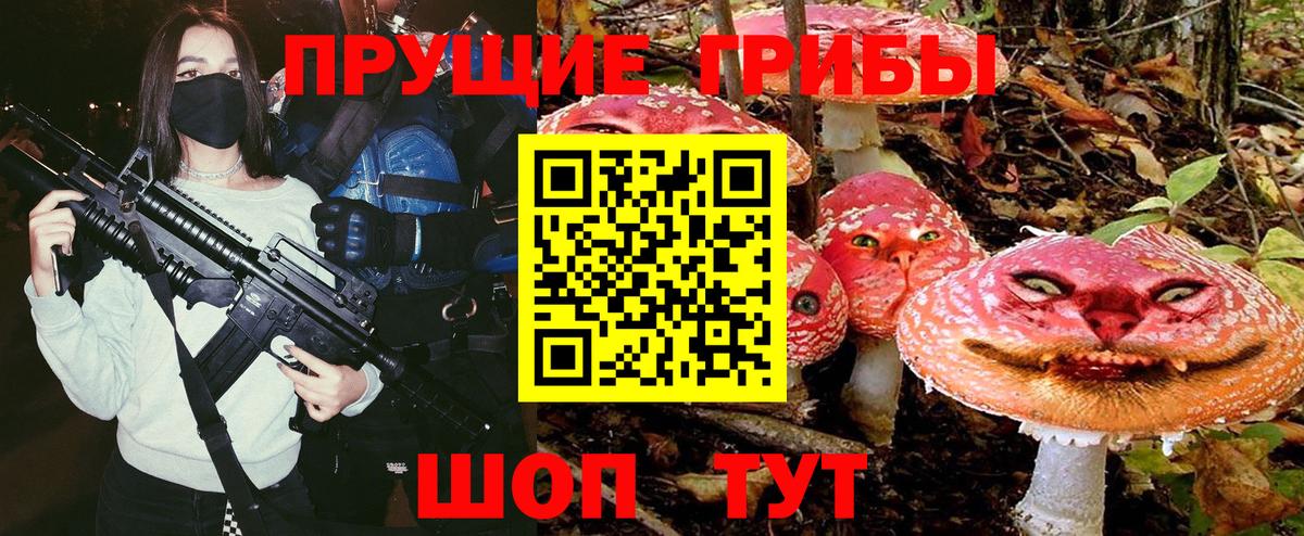 Галлюциногенные грибы Cubensis Удомля